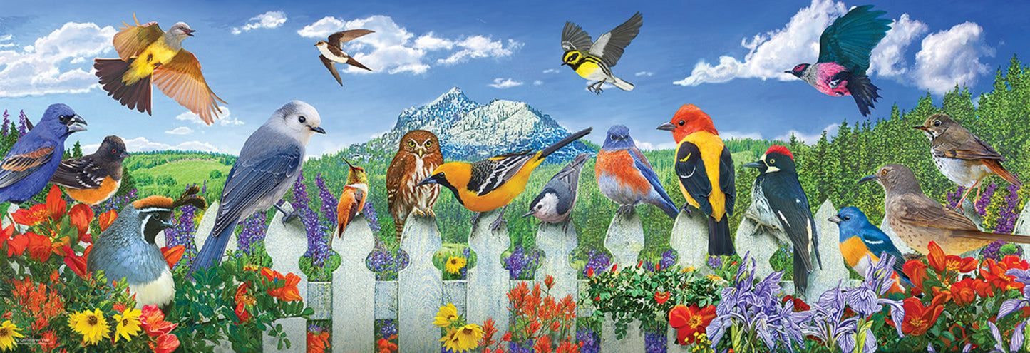 Western Birds 500 pc  Jigsaw Puzzle 71052