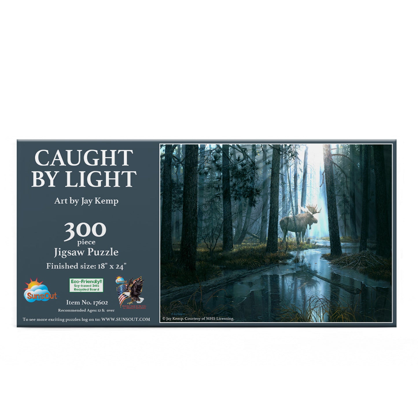 Caught by Light 300 pc  Jigsaw Puzzle 17602
