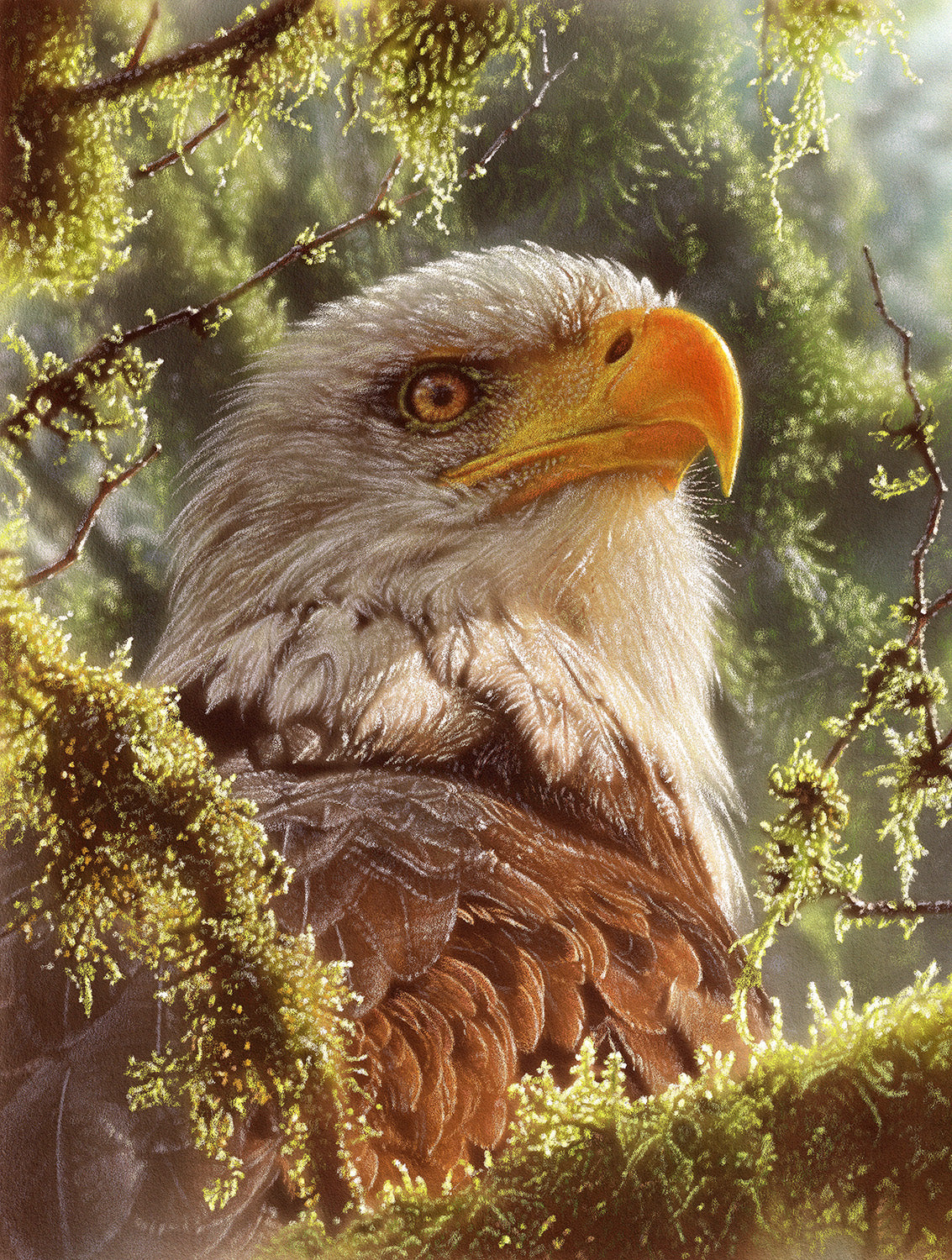 High and Mighty 1000 pc  Jigsaw Puzzle 21816