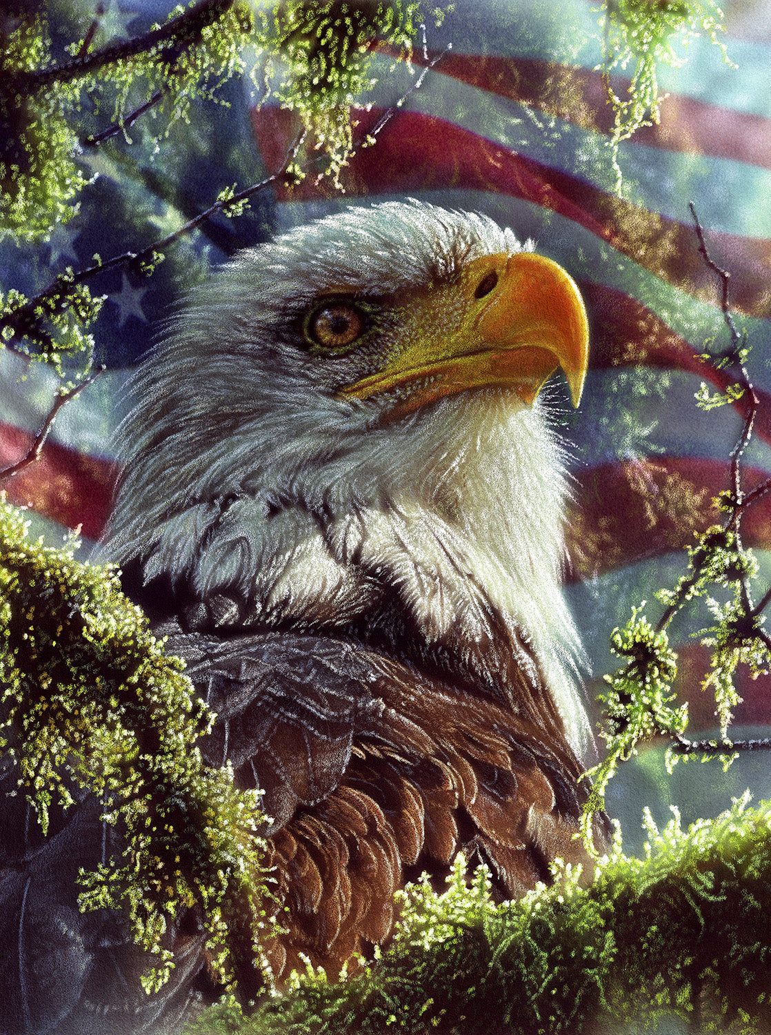 Eagle Colors 1000 pc  Jigsaw Puzzle 21865