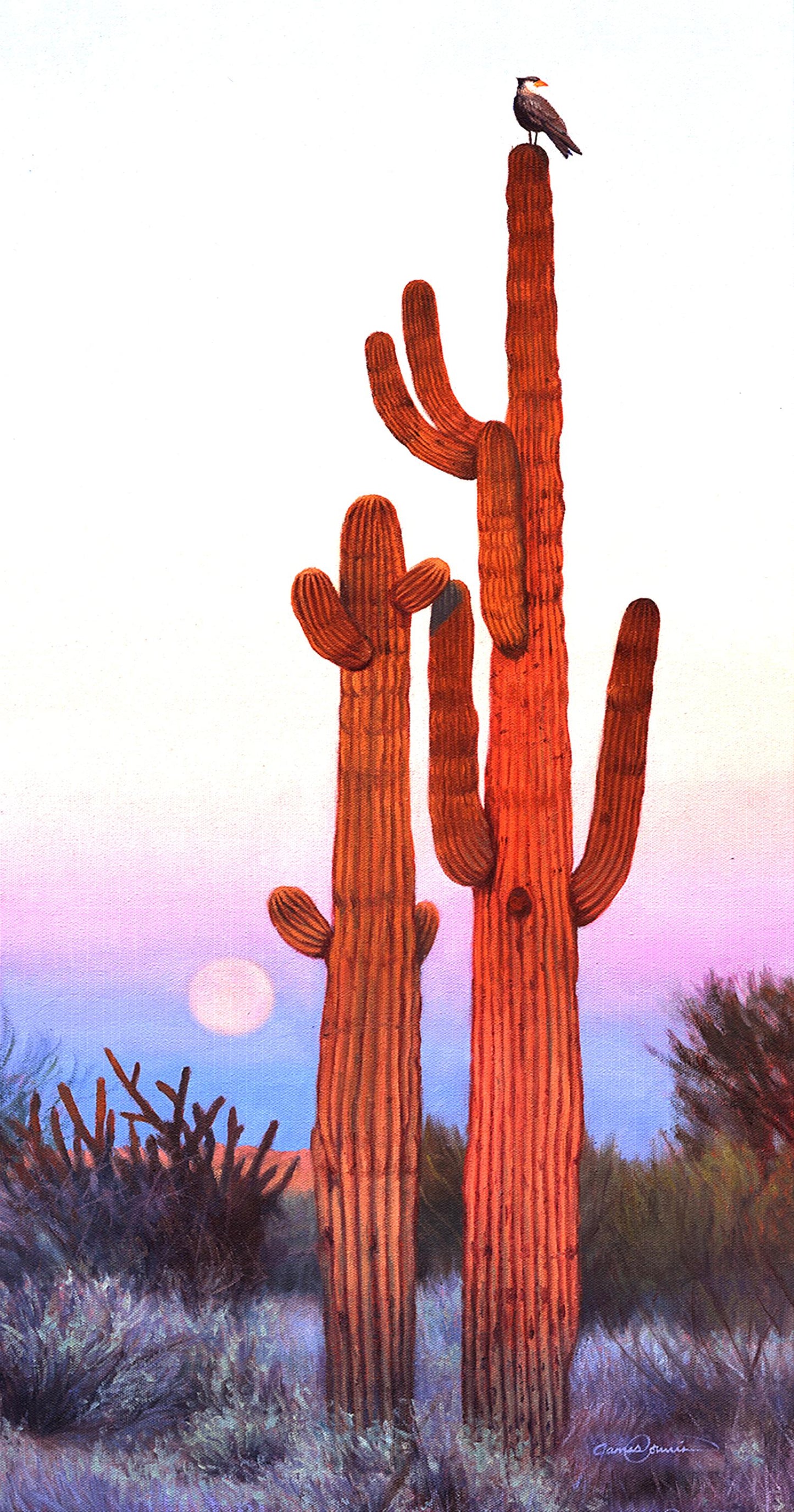 Desert Lookout 500 pc  Jigsaw Puzzle 27062