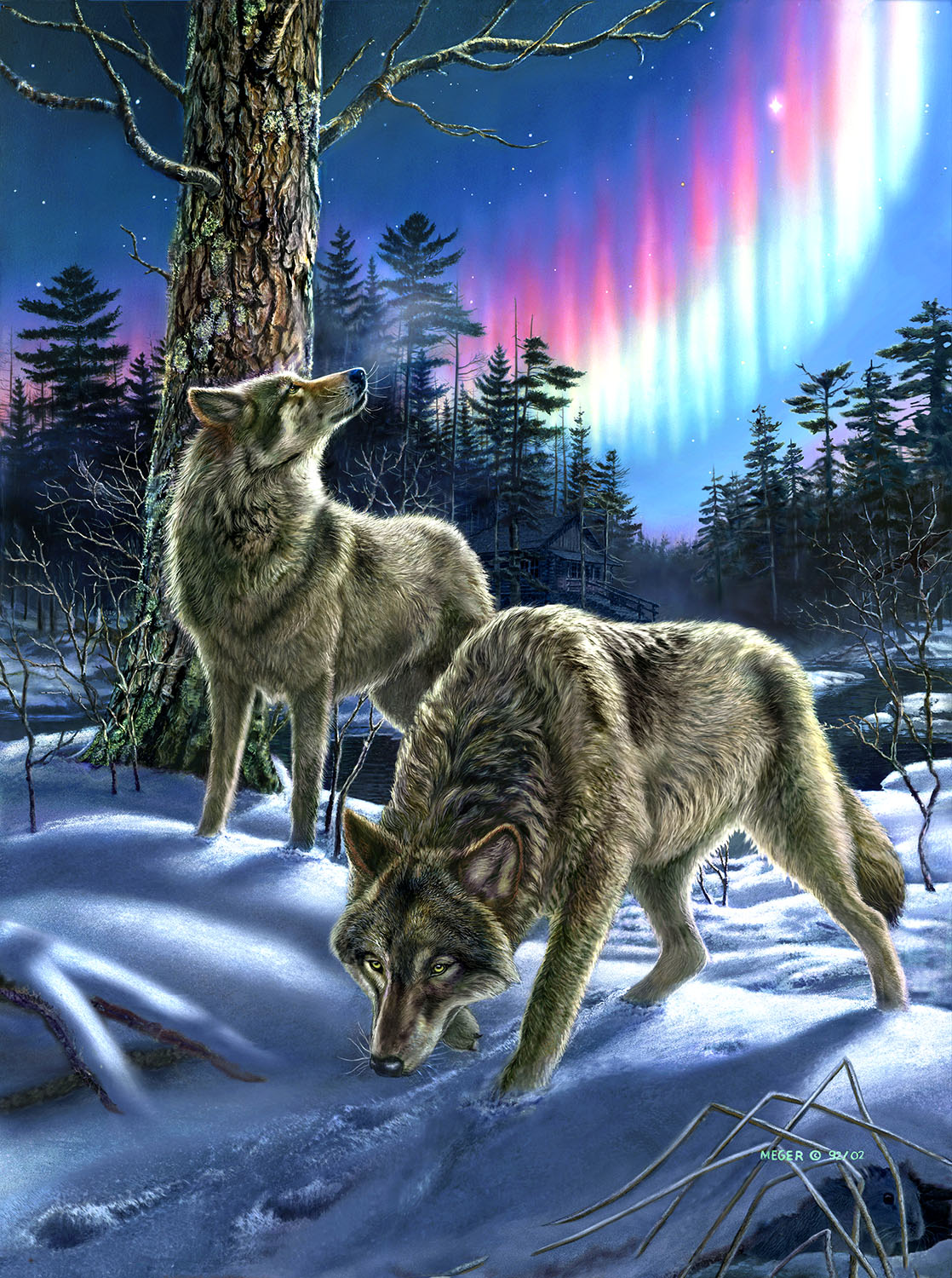 Wolves and Lights 1000 pc  Jigsaw Puzzle 28397