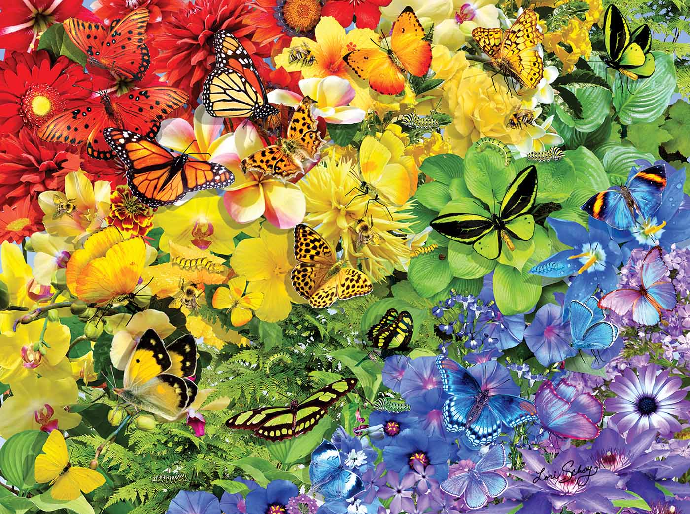 Rainbow Butterflies 1000 pc  Jigsaw Puzzle 35184