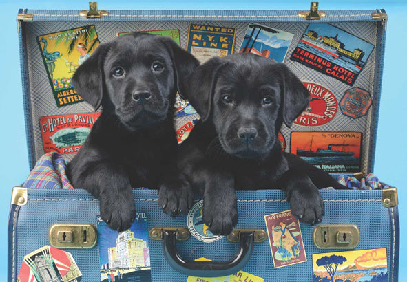 Travel Labs 500 pc  Jigsaw Puzzle 3601
