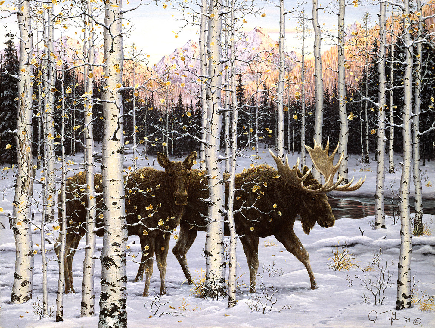 Forest Twilight 500 pc  Jigsaw Puzzle 36532