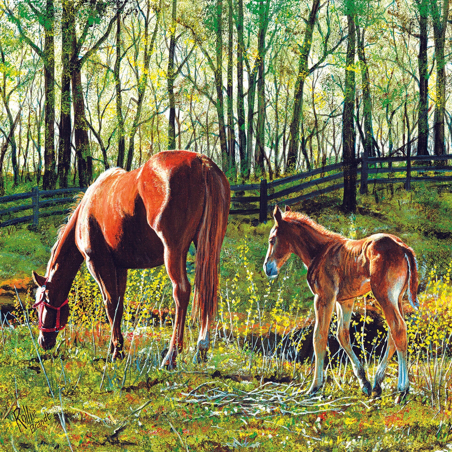 Tag Along 500 pc  Jigsaw Puzzle 50535