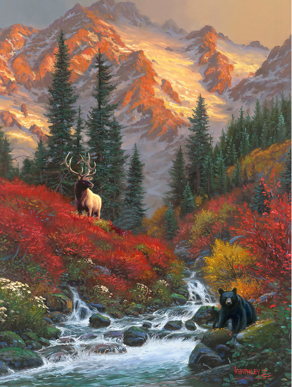 Wild Encounter 500 pc  Jigsaw Puzzle 53215