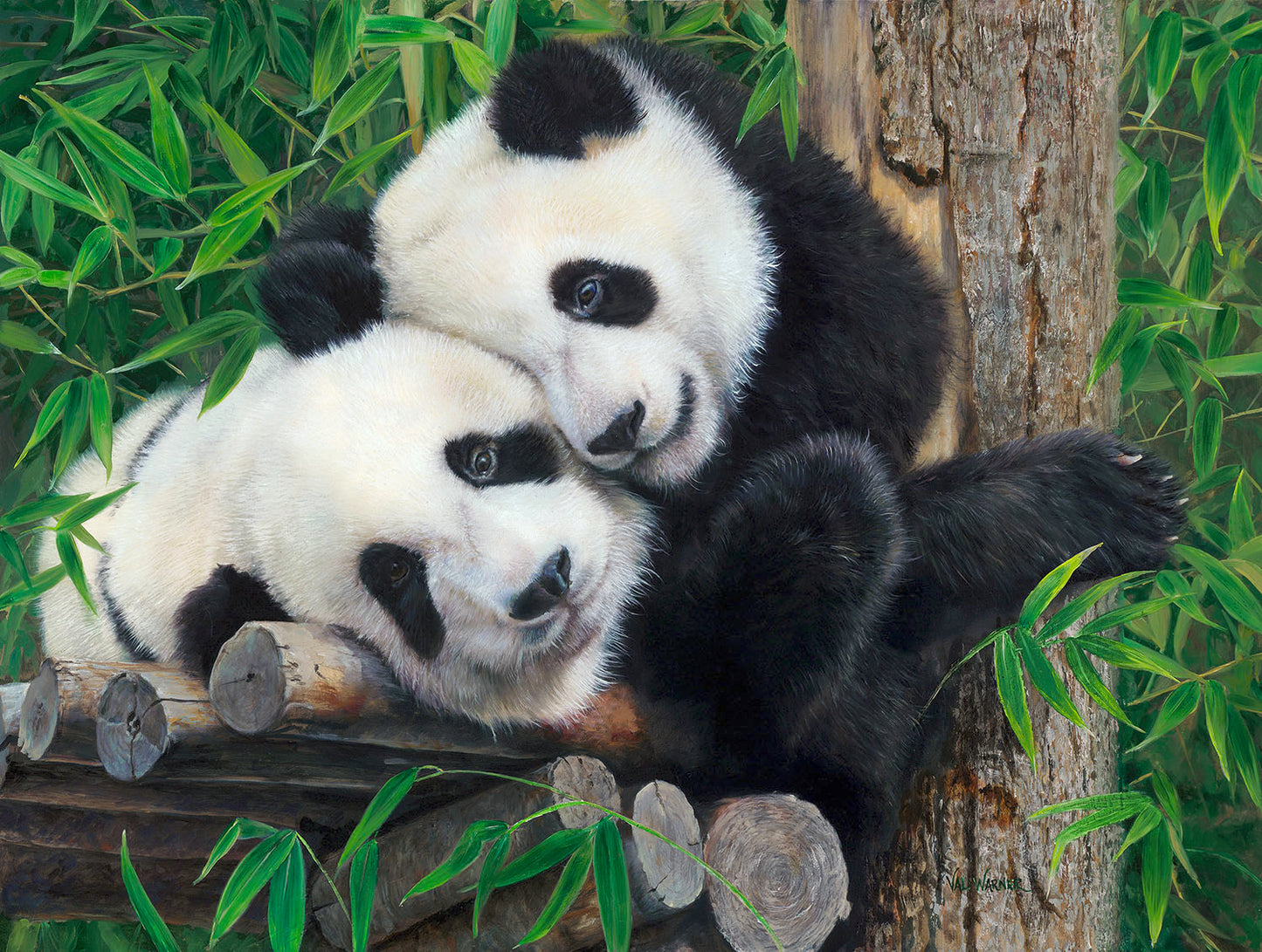 Bam Boo Panda Buddies 300 pc  Jigsaw Puzzle 54992