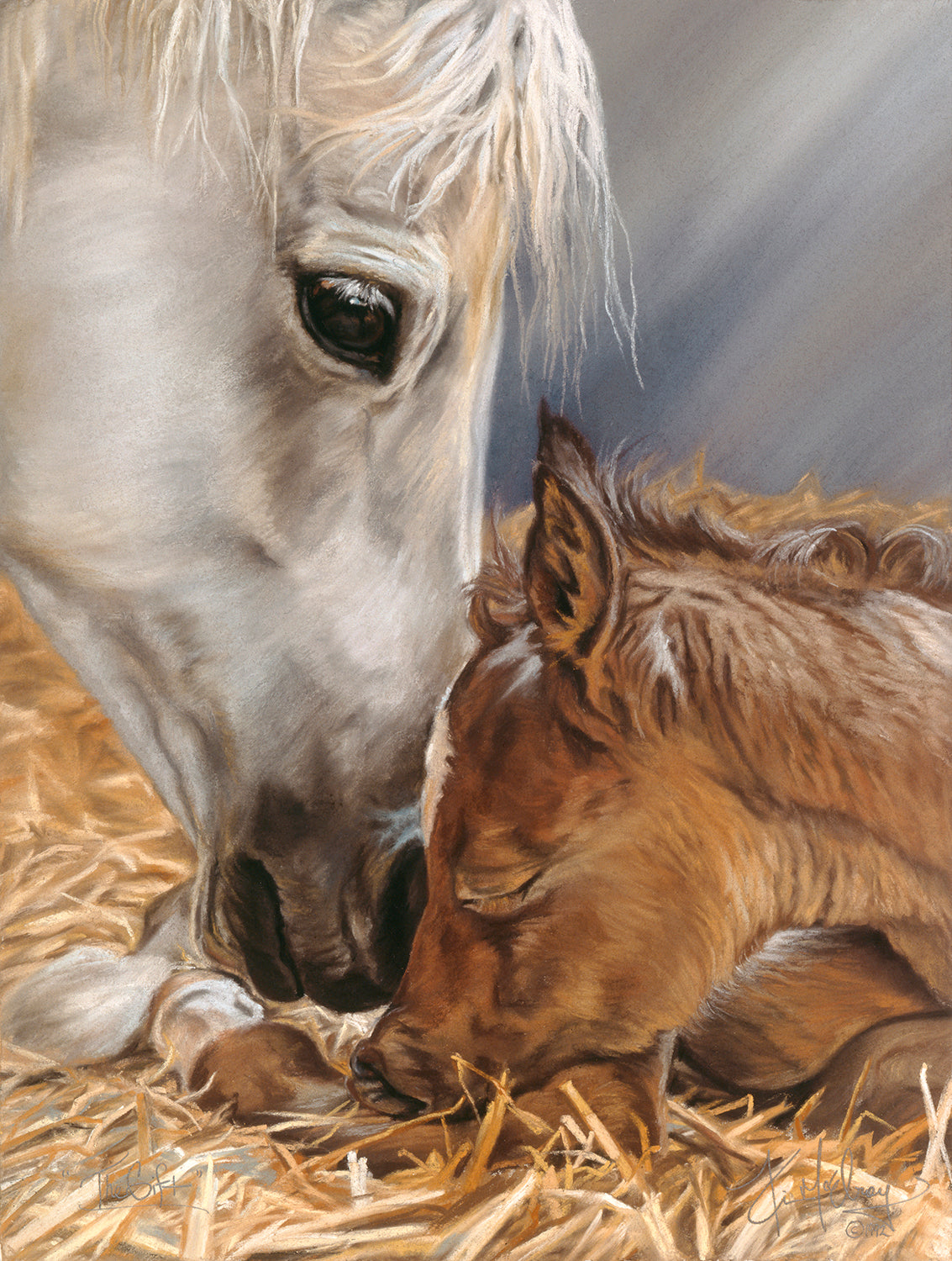 Gift of Nature 500 pc  Jigsaw Puzzle 57608