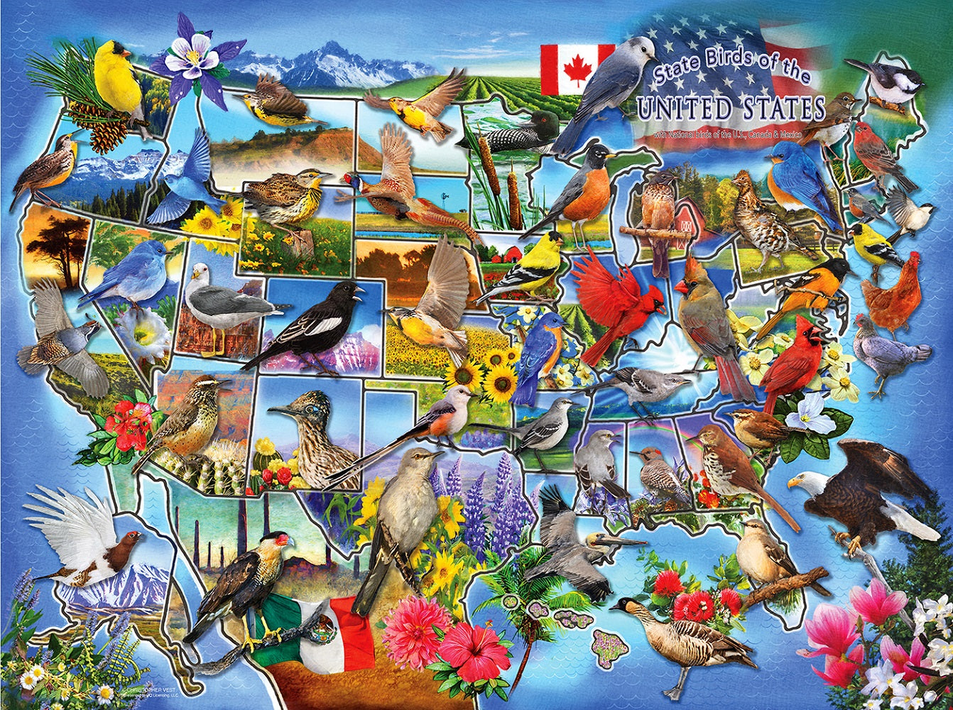 State Birds of the U.S. 1000 pc  Jigsaw Puzzle 58649