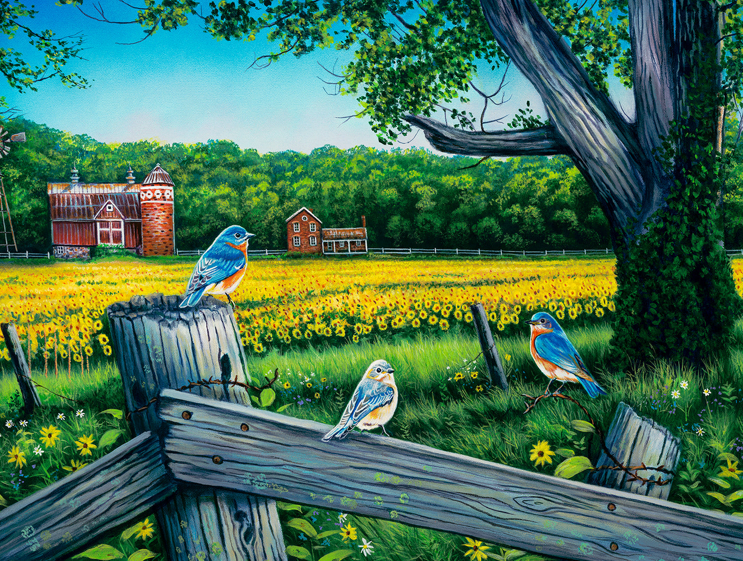 Sunflower Valley Blues 500 pc  Jigsaw Puzzle 60862