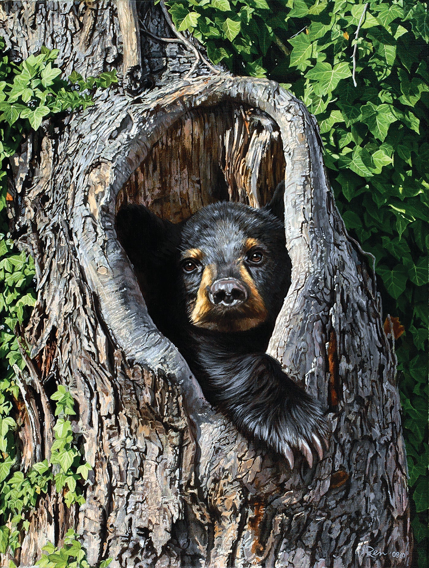 Cubby Hole 500 pc  Jigsaw Puzzle 62826