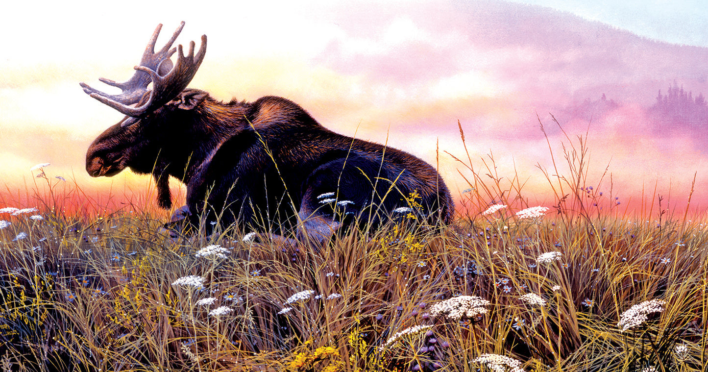 Daybreak Moose 500 pc  Jigsaw Puzzle 66840