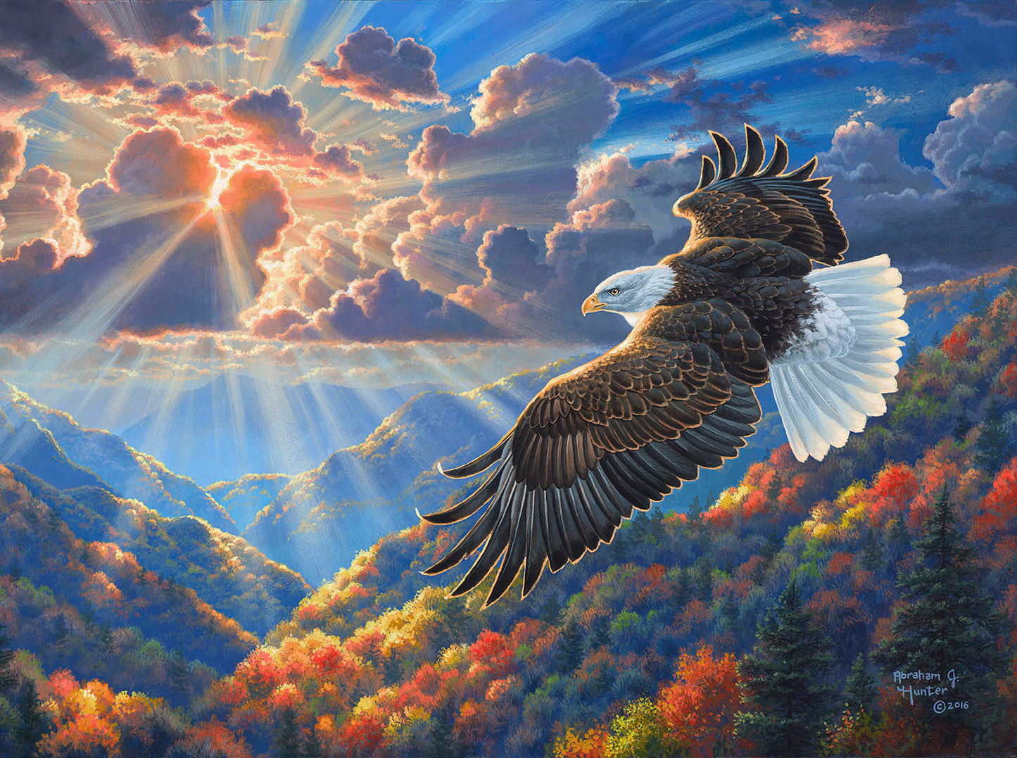Beautiful Freedom 1000 pc  Jigsaw Puzzle 69847