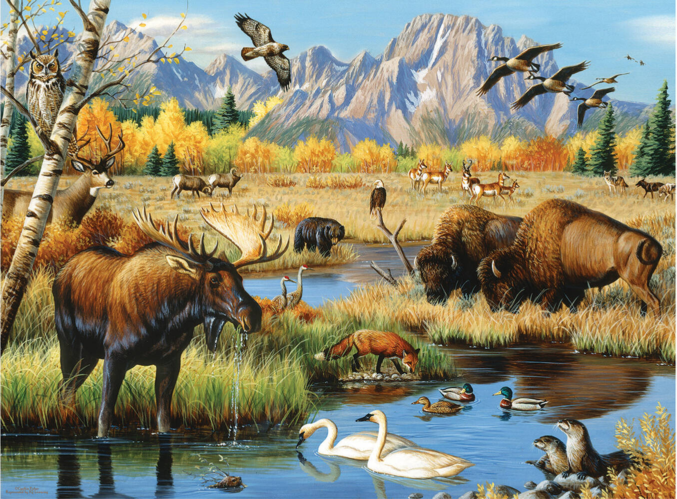 Wildlife Gathering 500 pc  Jigsaw Puzzle 70991