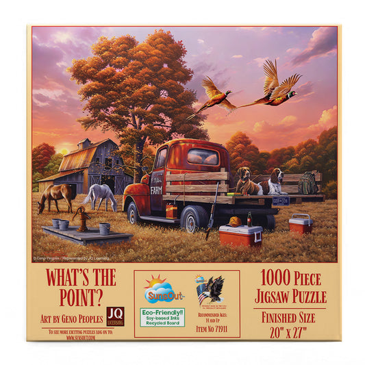 What's the Point 1000 pc  Jigsaw Puzzle 71911