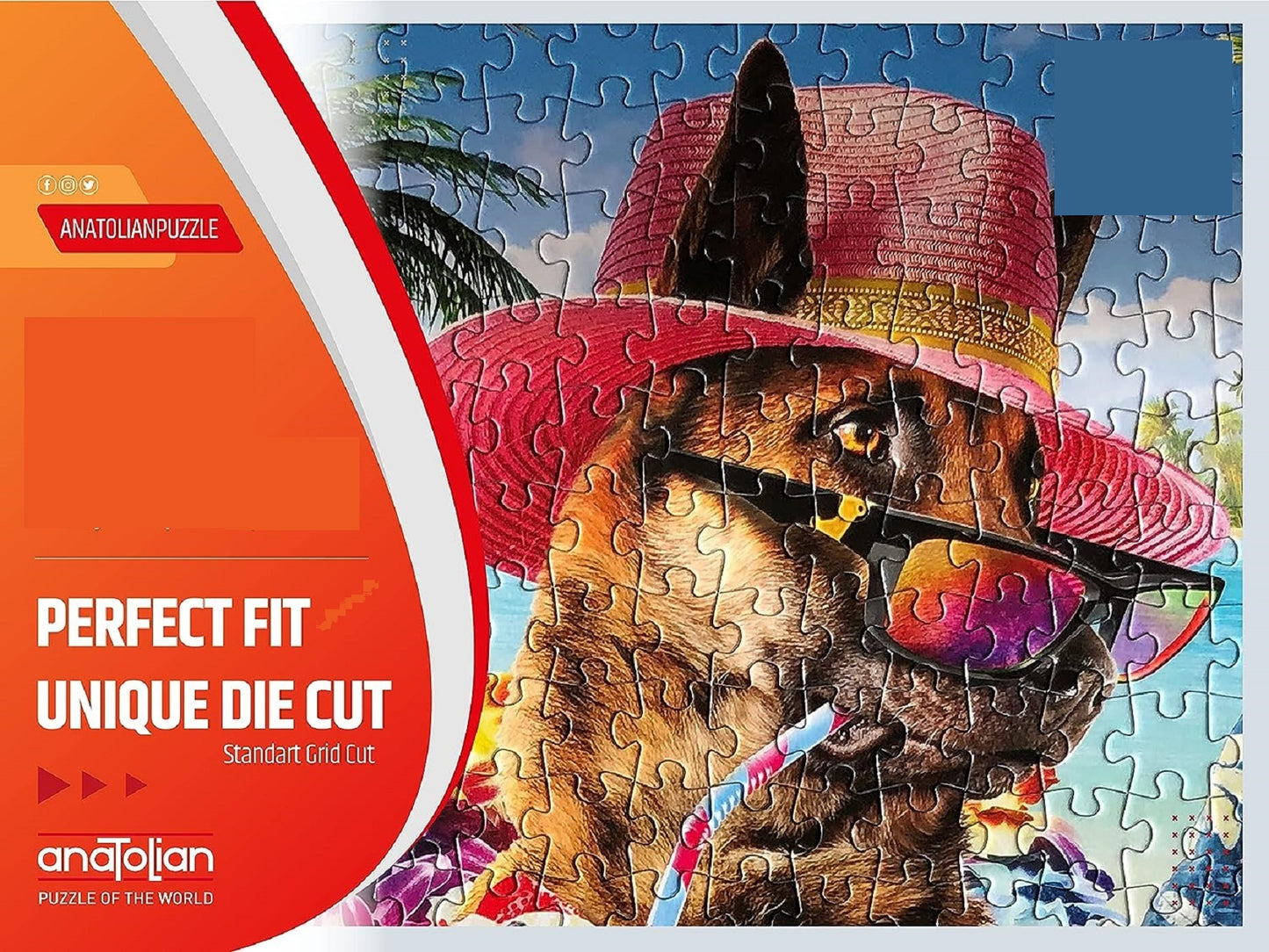 The Lion 1000 pc  Jigsaw Puzzle 1110